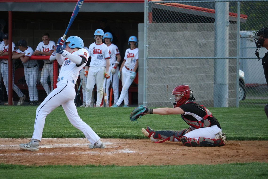 MALLARDS FALL IN REGION