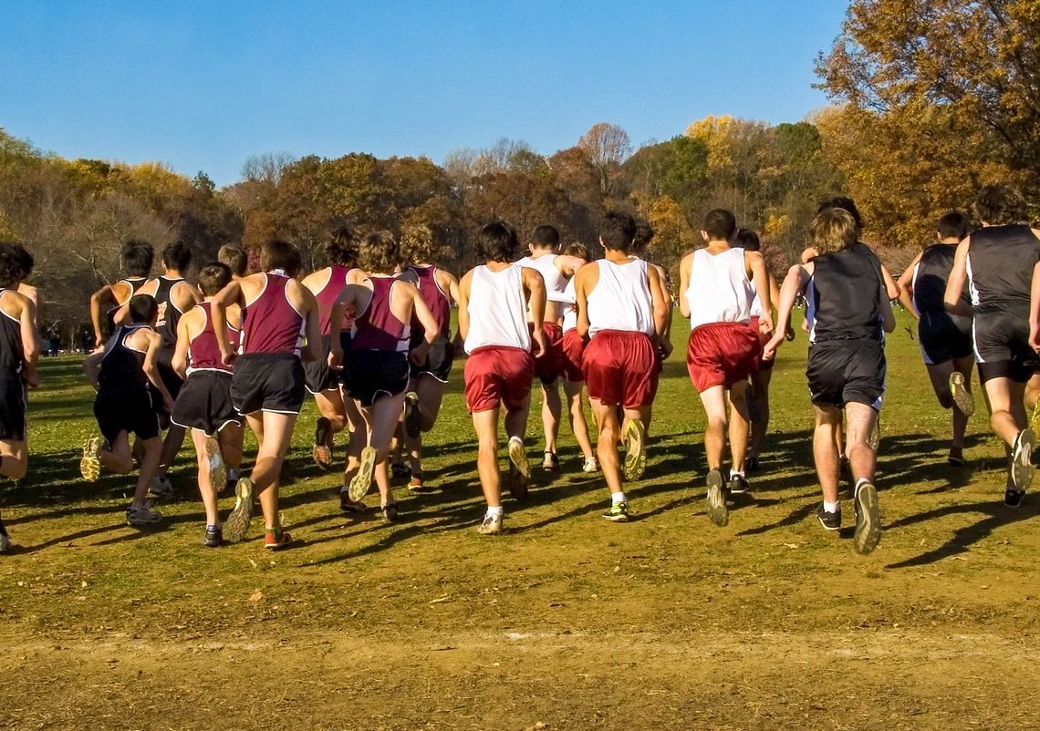 NEC, REGION ON AGENDA FOR CROSS COUNTRY SQUAD