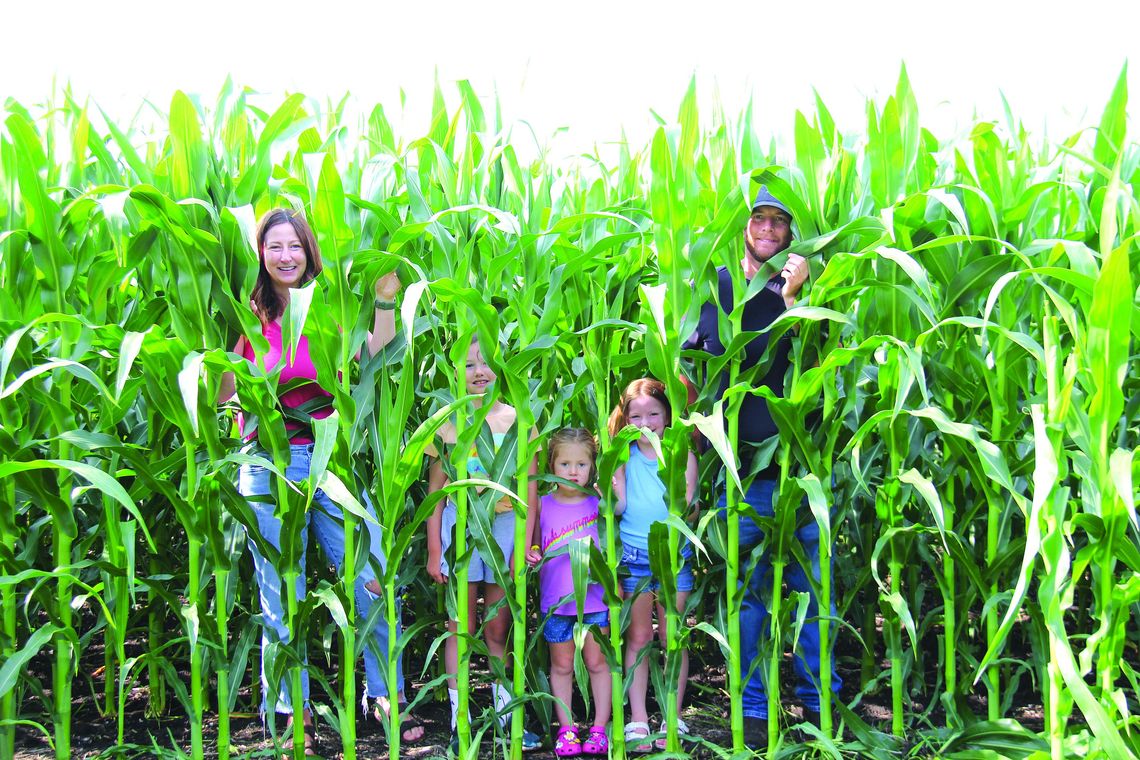 Rollercoaster Of Moisture, Nice-Looking Crops