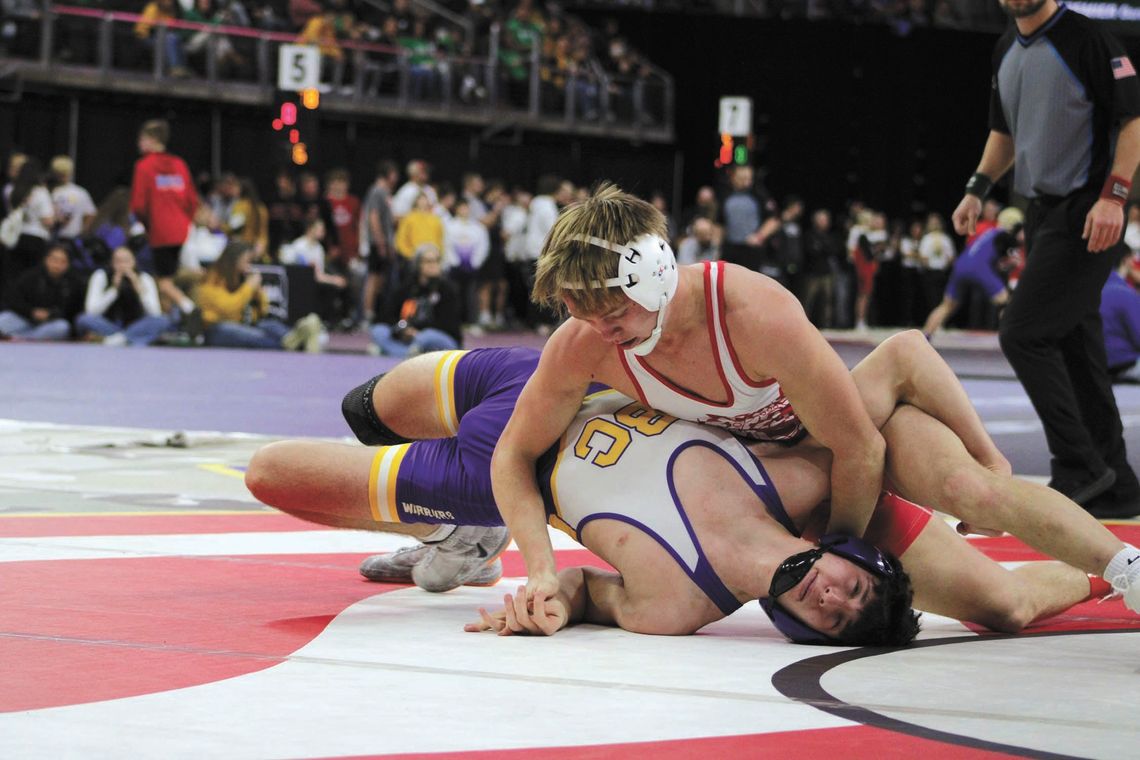 THREE BRAVES' MATMEN STATE PLACERS