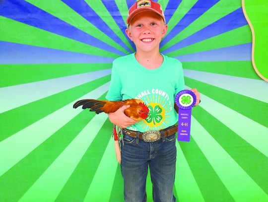 Grand Champion Poultry