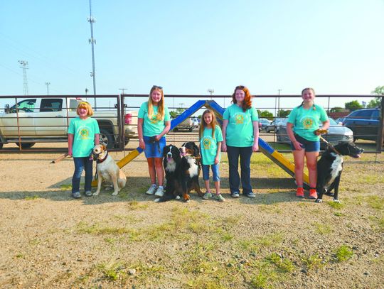 Achievement Days Dog Show