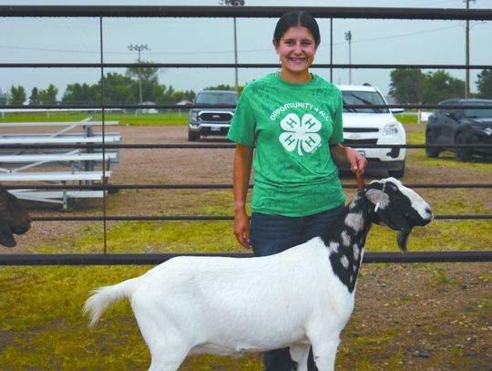 Grand Champion Goat