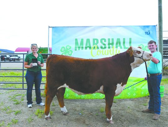 Grand Champion Market Beef